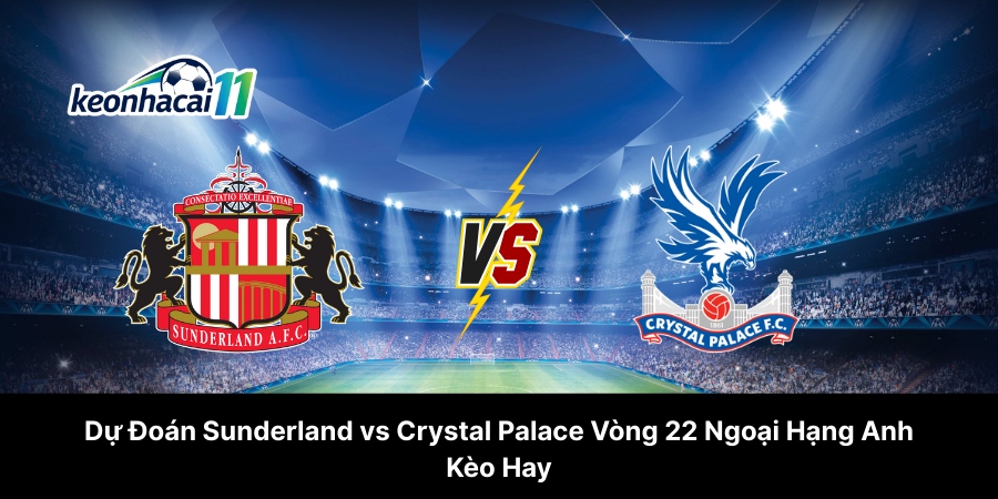 Dự Đoán Sunderland vs Crystal Palace Vòng 22 Ngoại Hạng Anh - Kèo Hay