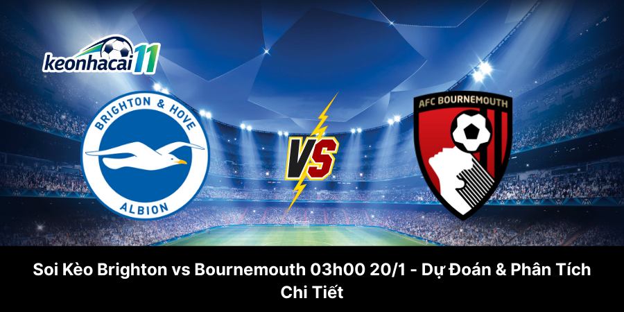 Soi Kèo Brighton vs Bournemouth 03h00 20-1 - Dự Đoán & Phân Tích Chi Tiết